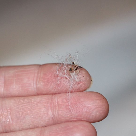 Teddy Coat Wool oversized MM brand inspired 100% wool NWT - Picture 6 of 14